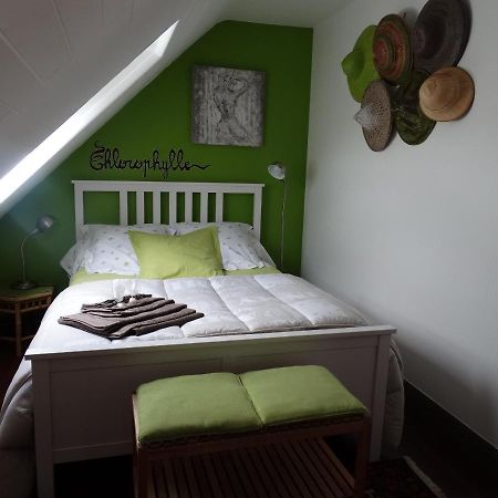 Chambres D'Hotes De La Voie Romaine พลูอิโย ภายนอก รูปภาพ